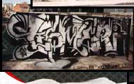 Tisme 132