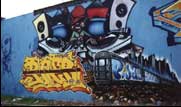 Pner P19